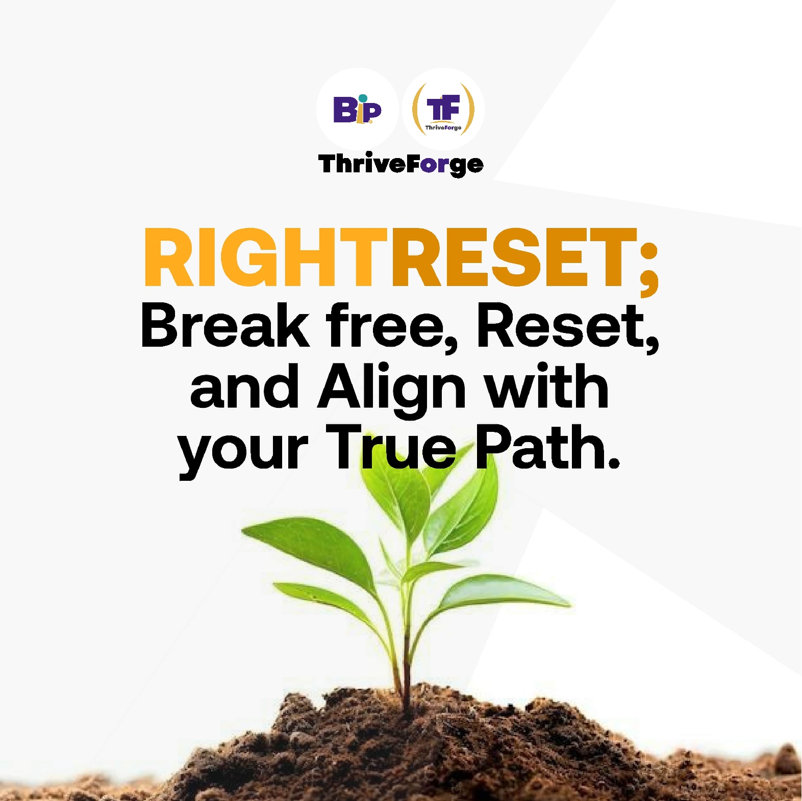 Goal Setting & Success